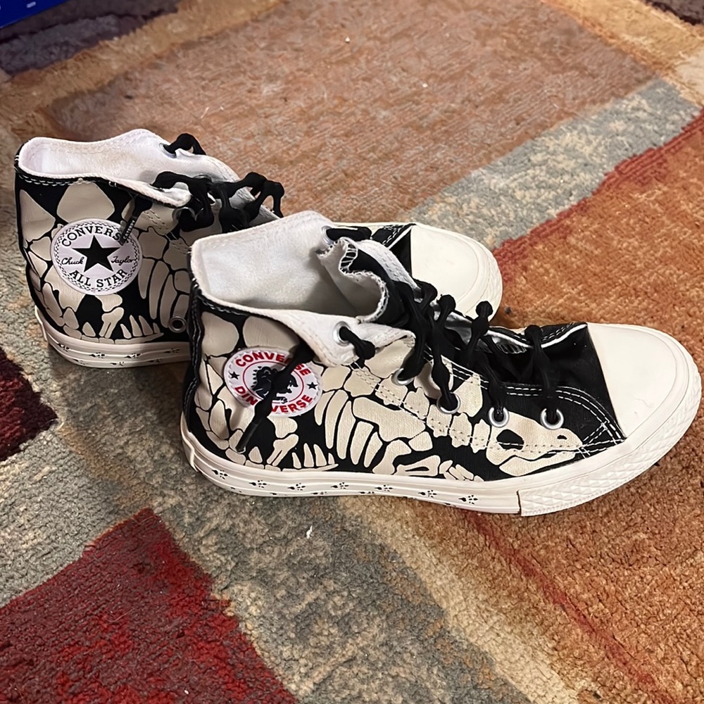 Chuck Taylor All Star Dinoverse High Tops.